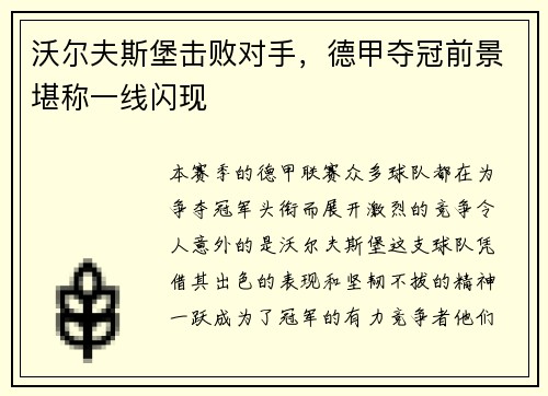 沃尔夫斯堡击败对手，德甲夺冠前景堪称一线闪现